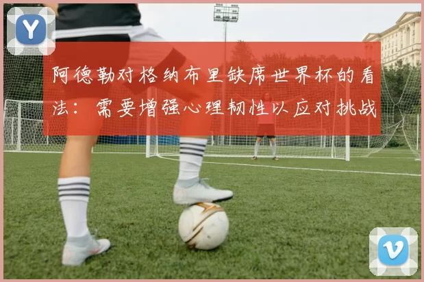阿德勒对格纳布里缺席世界杯的看法：需要增强心理韧性以应对挑战